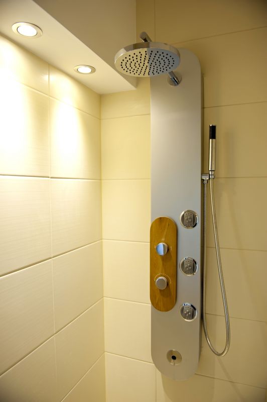 Contemporary Shower Features